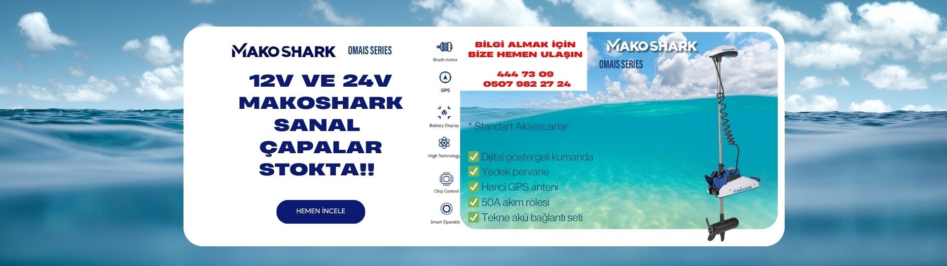 Makoshark5Web 21